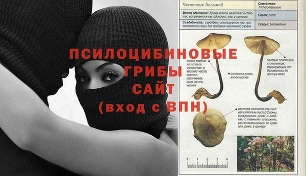 метадон Протвино