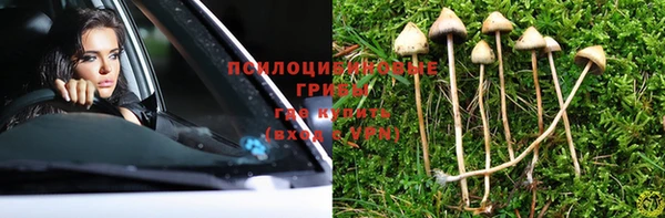 винт Приозерск