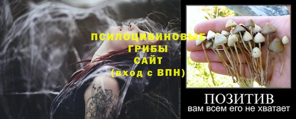 метадон Протвино