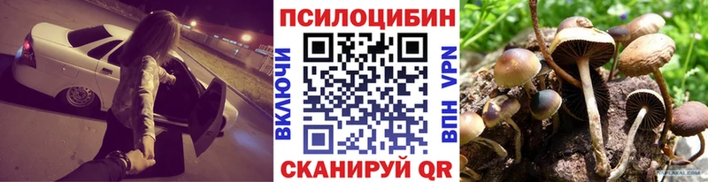 Псилоцибиновые грибы Magic Shrooms даркнет сайт это состав Евпатория мега ТОР